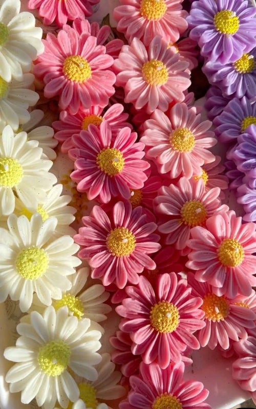 Aromatic Soy Wax Candles