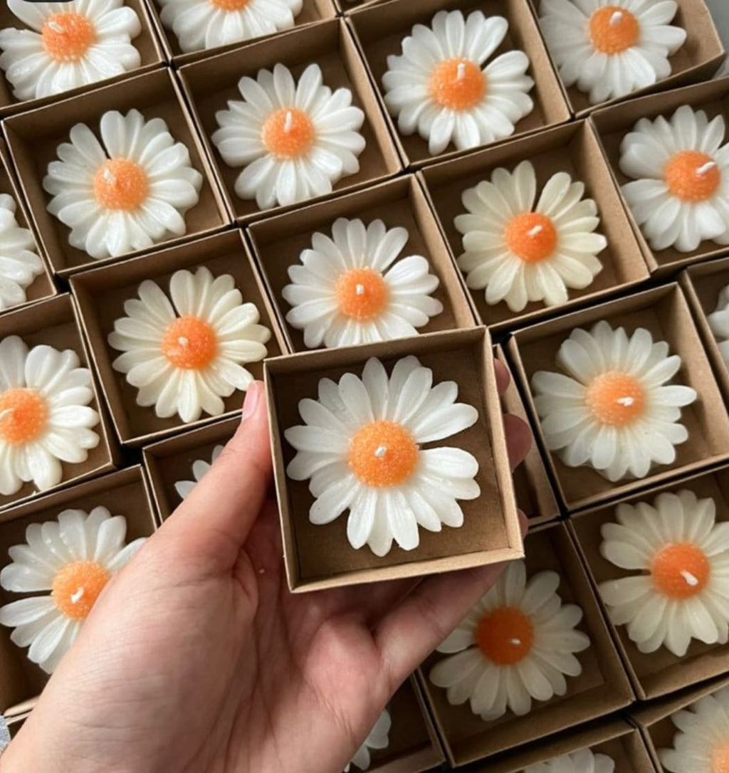Aromatic Soy Wax Candles